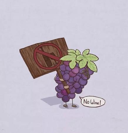 inget vin no wine